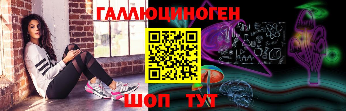 Галлюциногенные грибы прущие грибы  Вход с VPN  Знаменск  Галлюциногенные грибы Psilocybine cubensis 